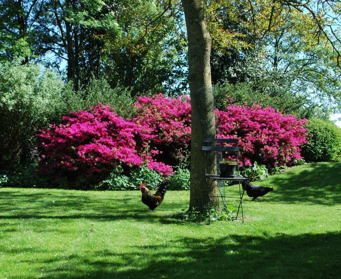 De Riekhoff Vila Een-West Exterior foto