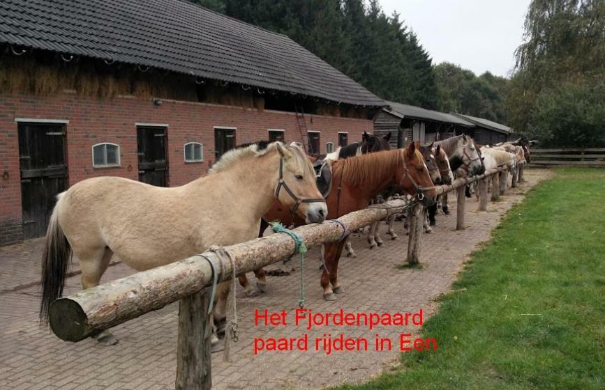 De Riekhoff Vila Een-West Exterior foto